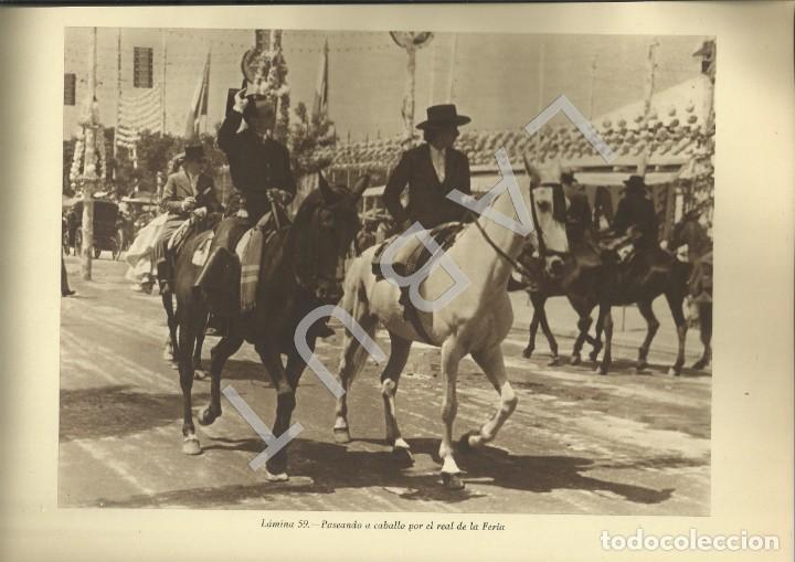 Arte: ANTONIO CA&Ntilde;ERO PASEANDO A CABALLO POR EL REAL DE LA FERIA DE ABRIL SEVILLA POR LUIS ARENAS 1948 C38