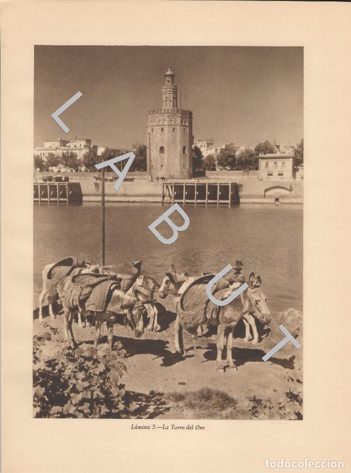 Arte: LA TORRE DEL ORO DE SEVILLA EL GUADALQUIVIR PUENTE DE TRIANA C39