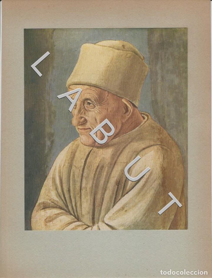 Arte: RETRATO DE UN ANCIANO FILIPPINO LIPPI 49 LM1
