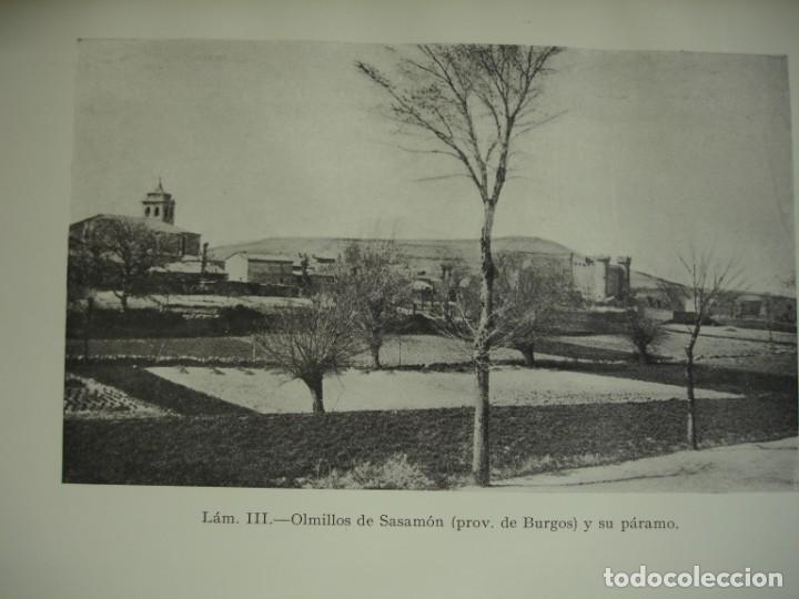 Arte: BURGOS OLMILLOS DE SASAMON - Foto 1