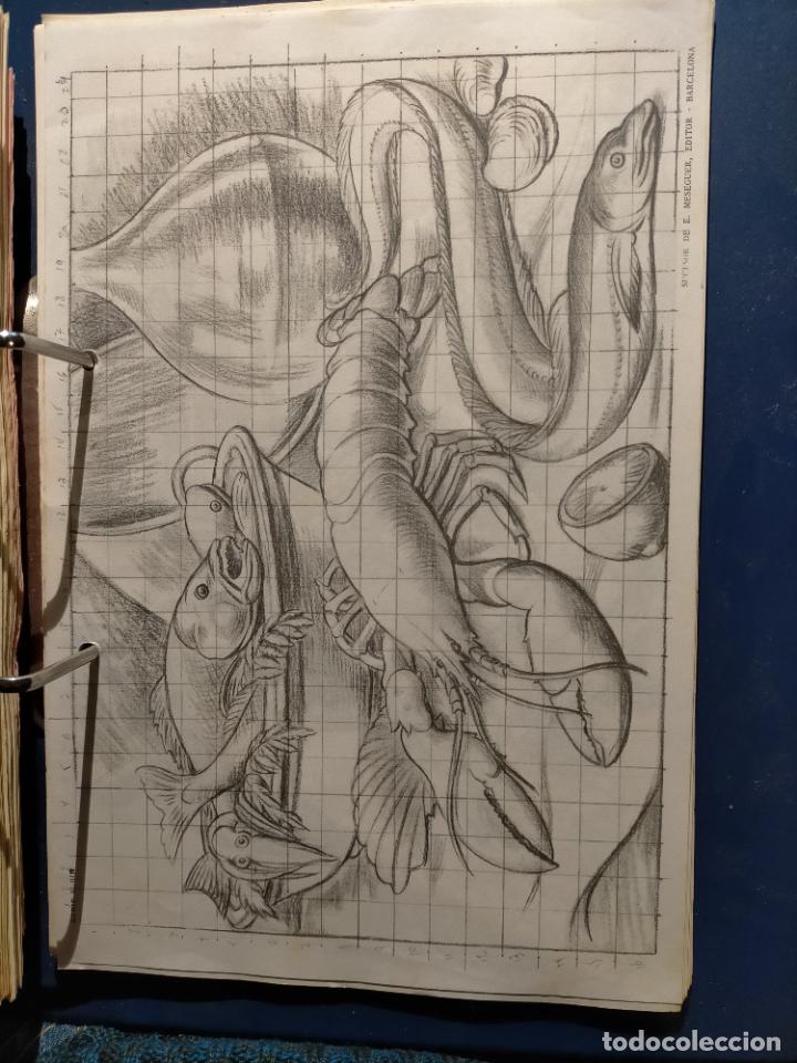 Arte: HAGA SU OFERTA ----- ANTIGUA LAMINA ORIGINAL PARA DIBUJANTES DIBUJO ARTISTICO DIBUJO EMILIO FREIXAS