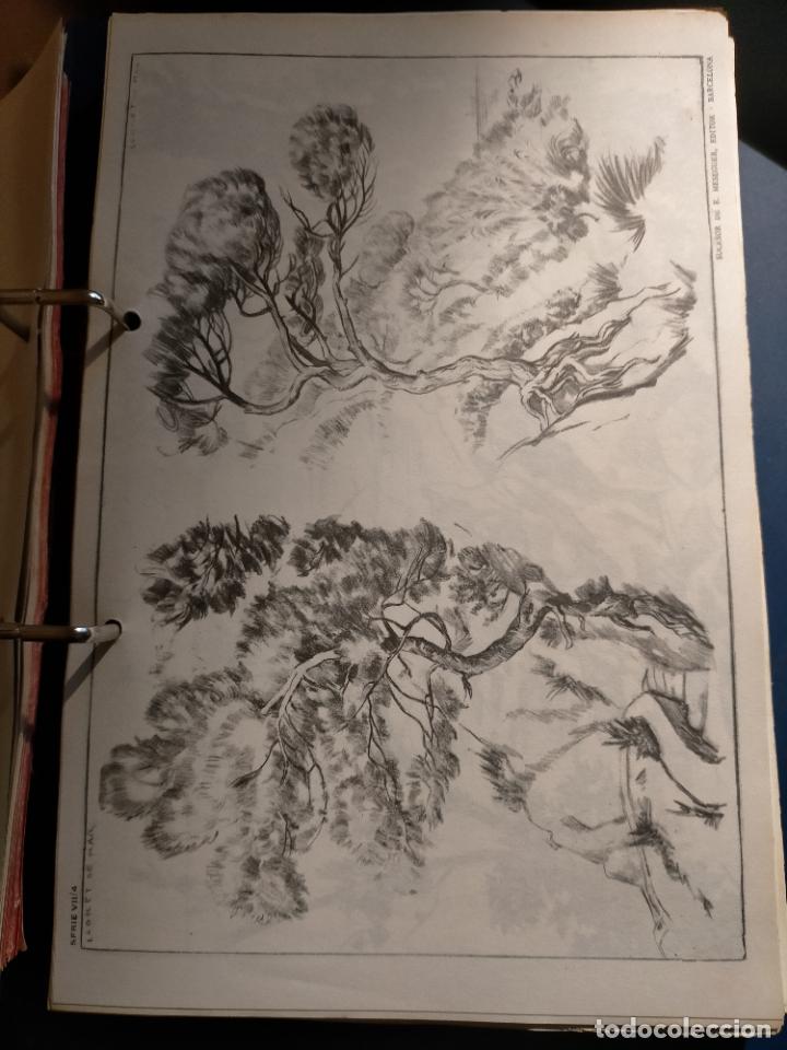 Arte: HAGA SU OFERTA ----- ANTIGUA LAMINA ORIGINAL PARA DIBUJANTES DIBUJO ARTISTICO DIBUJO EMILIO FREIXAS
