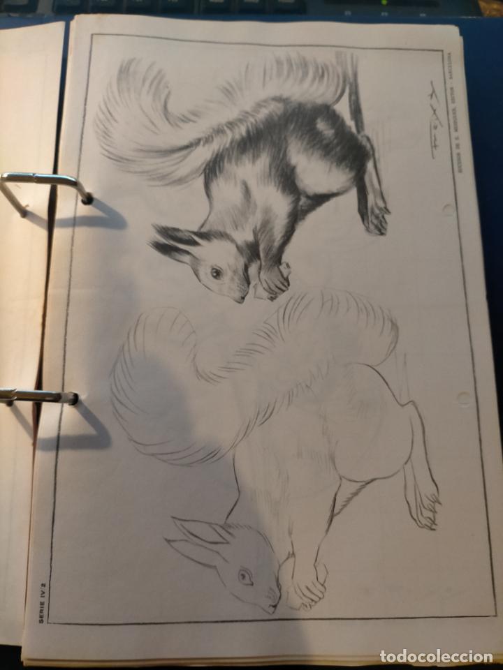 Arte: HAGA SU OFERTA ----- ANTIGUA LAMINA ORIGINAL PARA DIBUJANTES DIBUJO ARTISTICO DIBUJO EMILIO FREIXAS