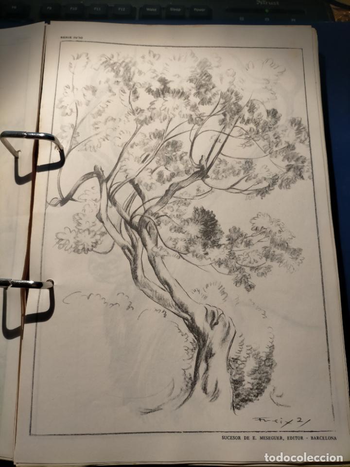 Kunst: HAGA SU OFERTA ----- ANTIGUA LAMINA ORIGINAL PARA DIBUJANTES DIBUJO ARTISTICO DIBUJO EMILIO FREIXAS