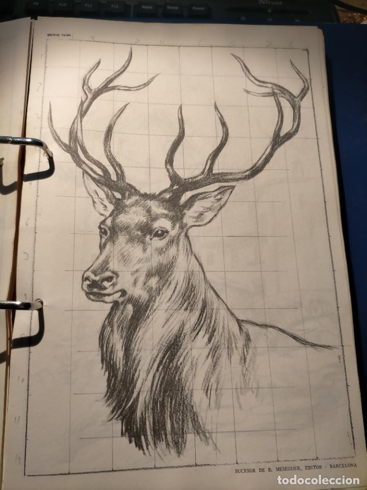 Kunst: HAGA SU OFERTA ----- ANTIGUA LAMINA ORIGINAL PARA DIBUJANTES DIBUJO ARTISTICO DIBUJO EMILIO FREIXAS