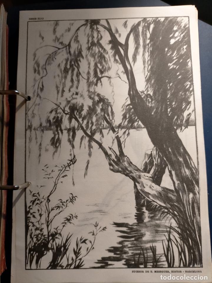 Kunst: HAGA SU OFERTA ----- ANTIGUA LAMINA ORIGINAL PARA DIBUJANTES DIBUJO ARTISTICO DIBUJO EMILIO FREIXAS