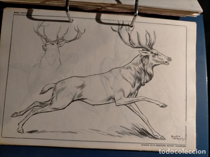 Kunst: HAGA SU OFERTA ----- ANTIGUA LAMINA ORIGINAL PARA DIBUJANTES DIBUJO ARTISTICO DIBUJO EMILIO FREIXAS