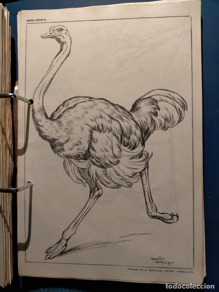 Kunst: HAGA SU OFERTA ----- ANTIGUA LAMINA ORIGINAL PARA DIBUJANTES DIBUJO ARTISTICO DIBUJO EMILIO FREIXAS
