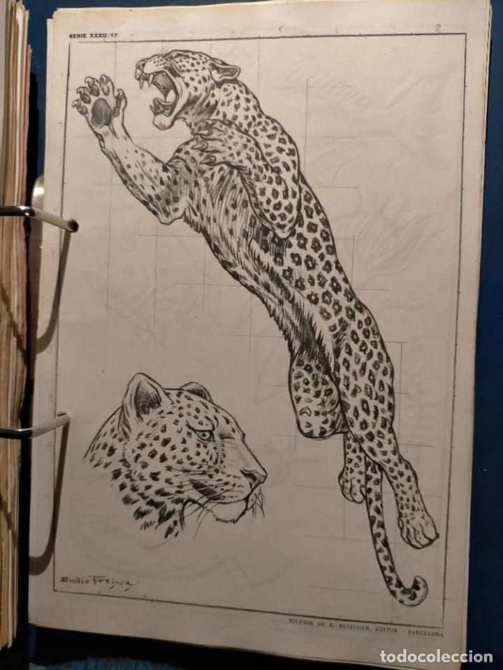 Kunst: HAGA SU OFERTA ----- ANTIGUA LAMINA ORIGINAL PARA DIBUJANTES DIBUJO ARTISTICO DIBUJO EMILIO FREIXAS