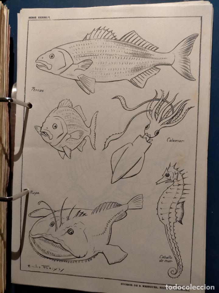Art: HAGA SU OFERTA ----- ANTIGUA LAMINA ORIGINAL PARA DIBUJANTES DIBUJO ARTISTICO DIBUJO EMILIO FREIXAS