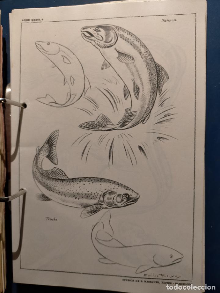 Kunst: HAGA SU OFERTA ----- ANTIGUA LAMINA ORIGINAL PARA DIBUJANTES DIBUJO ARTISTICO DIBUJO EMILIO FREIXAS