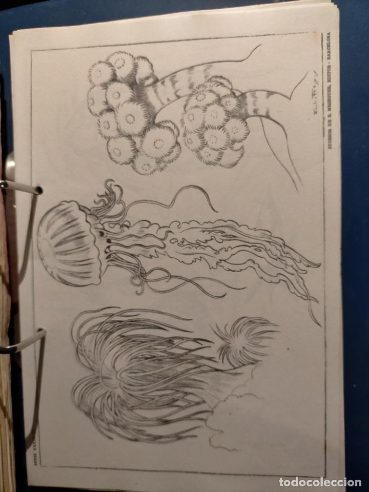 Kunst: HAGA SU OFERTA ----- ANTIGUA LAMINA ORIGINAL PARA DIBUJANTES DIBUJO ARTISTICO DIBUJO EMILIO FREIXAS