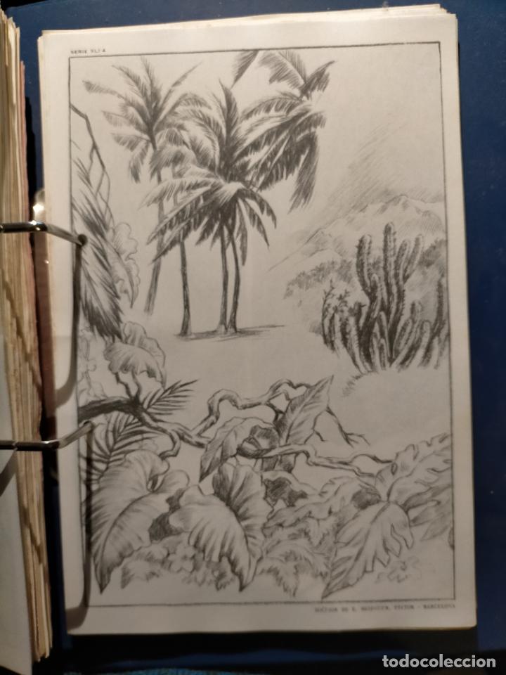Kunst: HAGA SU OFERTA ----- ANTIGUA LAMINA ORIGINAL PARA DIBUJANTES DIBUJO ARTISTICO DIBUJO EMILIO FREIXAS