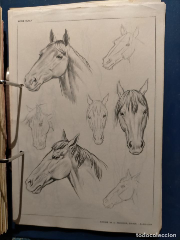 Kunst: HAGA SU OFERTA ----- ANTIGUA LAMINA ORIGINAL PARA DIBUJANTES DIBUJO ARTISTICO DIBUJO EMILIO FREIXAS
