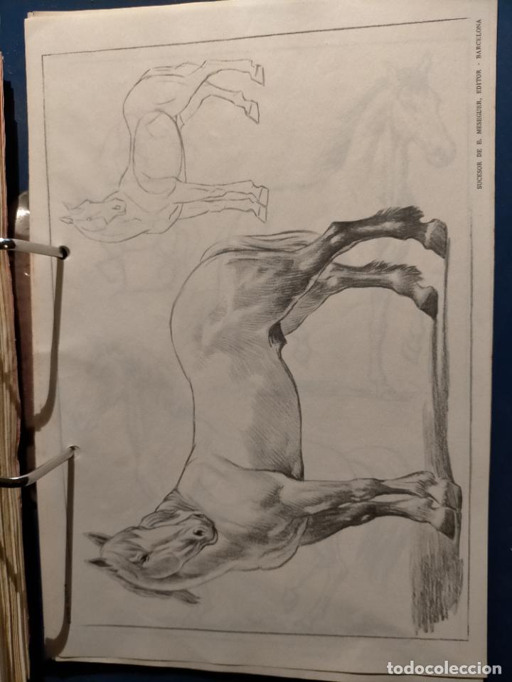 Kunst: HAGA SU OFERTA ----- ANTIGUA LAMINA ORIGINAL PARA DIBUJANTES DIBUJO ARTISTICO DIBUJO EMILIO FREIXAS