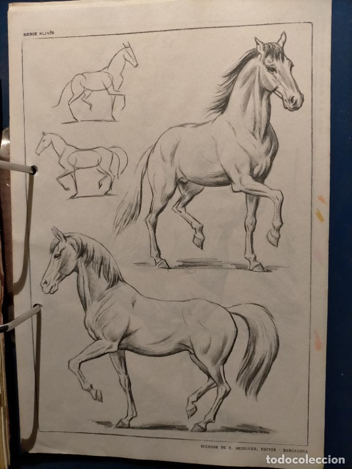Kunst: HAGA SU OFERTA ----- ANTIGUA LAMINA ORIGINAL PARA DIBUJANTES DIBUJO ARTISTICO DIBUJO EMILIO FREIXAS