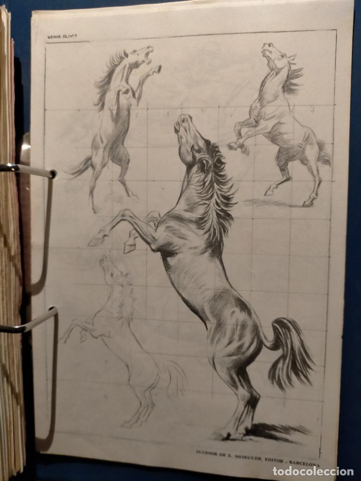 Kunst: HAGA SU OFERTA ----- ANTIGUA LAMINA ORIGINAL PARA DIBUJANTES DIBUJO ARTISTICO DIBUJO EMILIO FREIXAS
