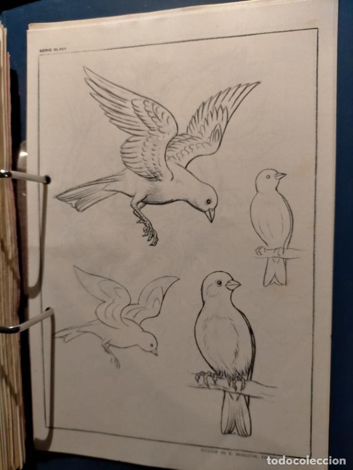 Kunst: HAGA SU OFERTA ----- ANTIGUA LAMINA ORIGINAL PARA DIBUJANTES DIBUJO ARTISTICO DIBUJO EMILIO FREIXAS