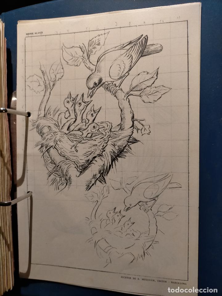 Kunst: HAGA SU OFERTA ----- ANTIGUA LAMINA ORIGINAL PARA DIBUJANTES DIBUJO ARTISTICO DIBUJO EMILIO FREIXAS