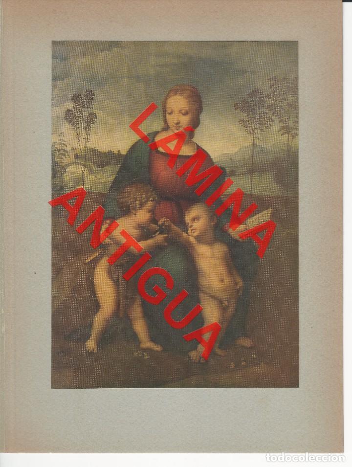 Kunst: RAFAEL LA VIRGEN DEL JILGUERO PLANCHA A COLOR 35 LM1