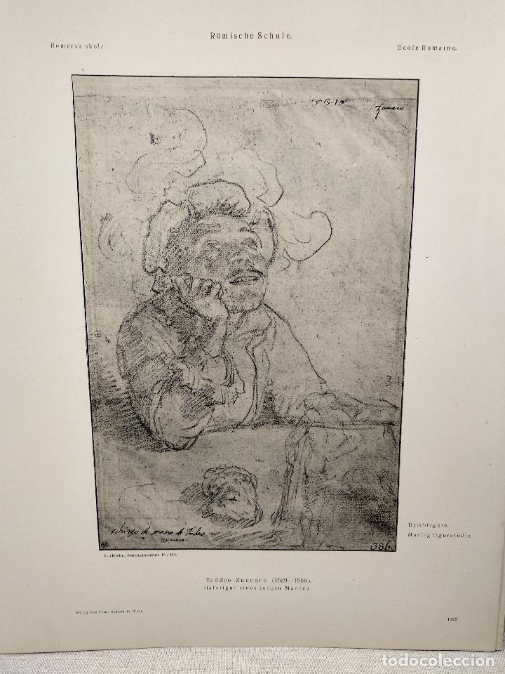 Art: Estudio de figura de Tadeo Zucaro, Meister Albertina, plancha n&ordm; 1312