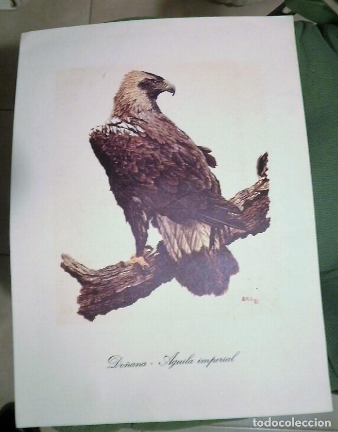 Arte: L&aacute;mina. - Foto 2