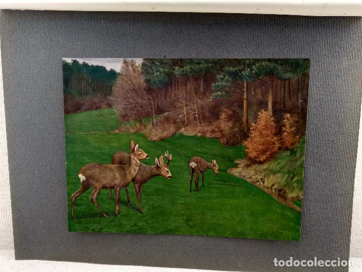 Art: Primavera verde de Otto , plancha n&ordm; 324 de Meister der Farbe 1908,