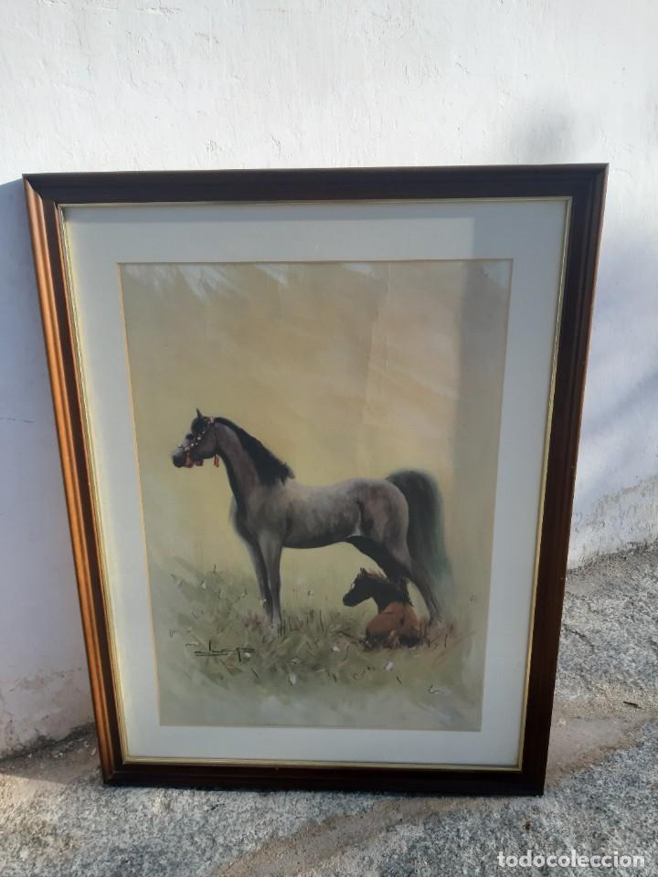 Arte: Cuadros - Foto 4