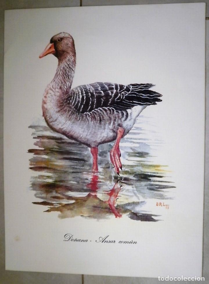 Arte: L&aacute;mina. - Foto 2