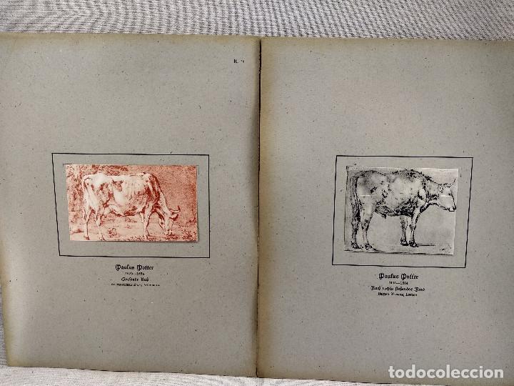 Kunst: Vacas de Paulus Potter, HOLLANDISCHER MEISTER 1923, planchas 74-75