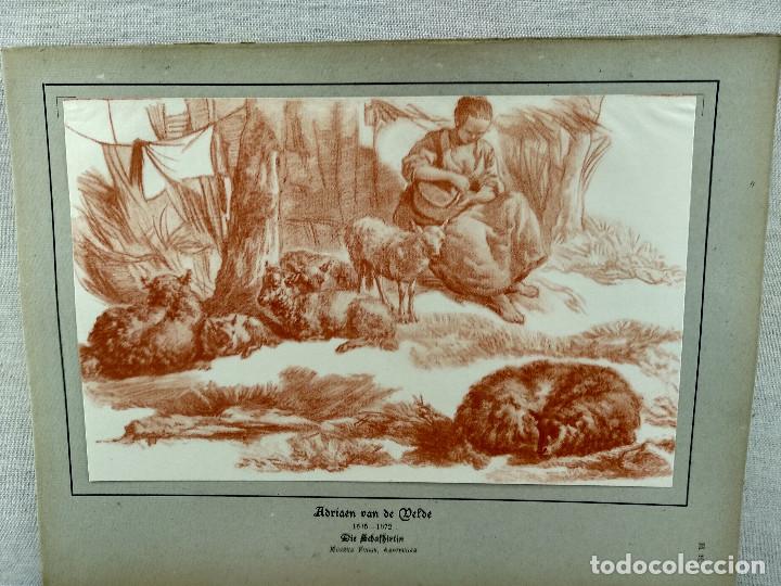 Arte: Pastorcilla de Adriaen van de Velde, HOLLANDISCHER MEISTER 1923, plancha 91