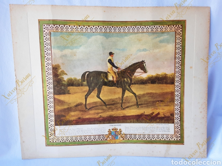 Arte: L&aacute;mina Caballo &rdquo;Ormonde&rdquo; WJ Shayer - Foto 1