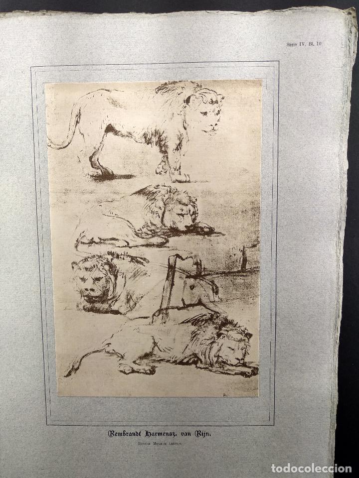 Art: Estudio de leones, de Rembrandt, Dibujos viejos maestros holandeses 1896, plancha 10
