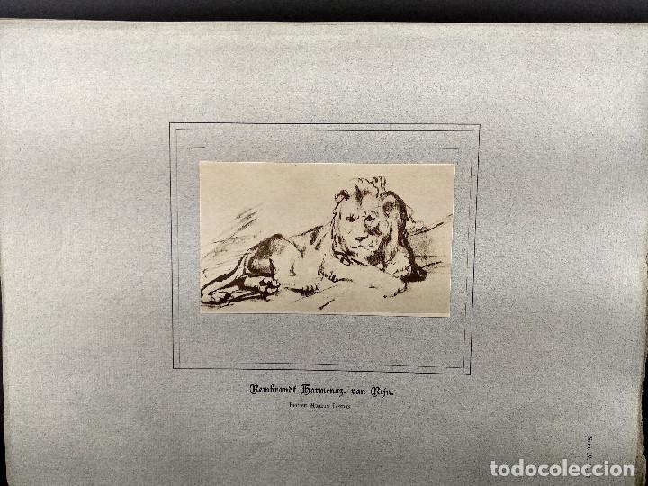 Art: Leon acostado, de Rembrandt, Dibujos viejos maestros holandeses 1896, plancha 27