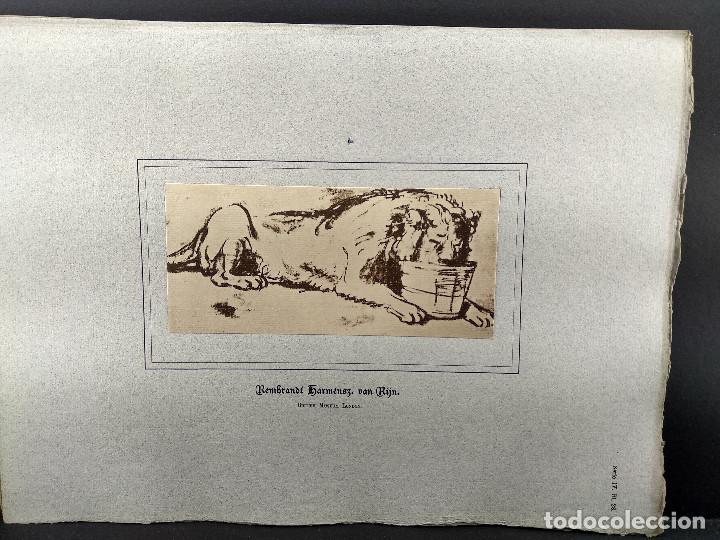 Art: Leon acostado bebiendo, de Rembrandt, Dibujos viejos maestros holandeses 1896, plancha 28