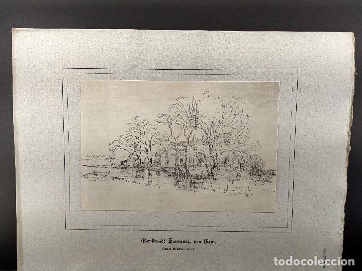 Art: Arboles en el canal de Rembrandt, Dibujos viejos maestros holandeses 1896, plancha 62