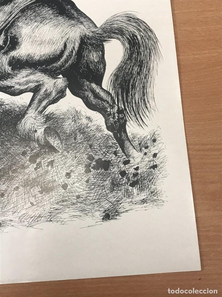 Arte: LAMINA O LITOGRAF&Iacute;A ARBIO - Foto 4