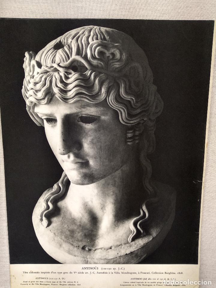 Arte: Antinoo, LA SCULPTURE AU MUSEE DU LOUVRE 1950