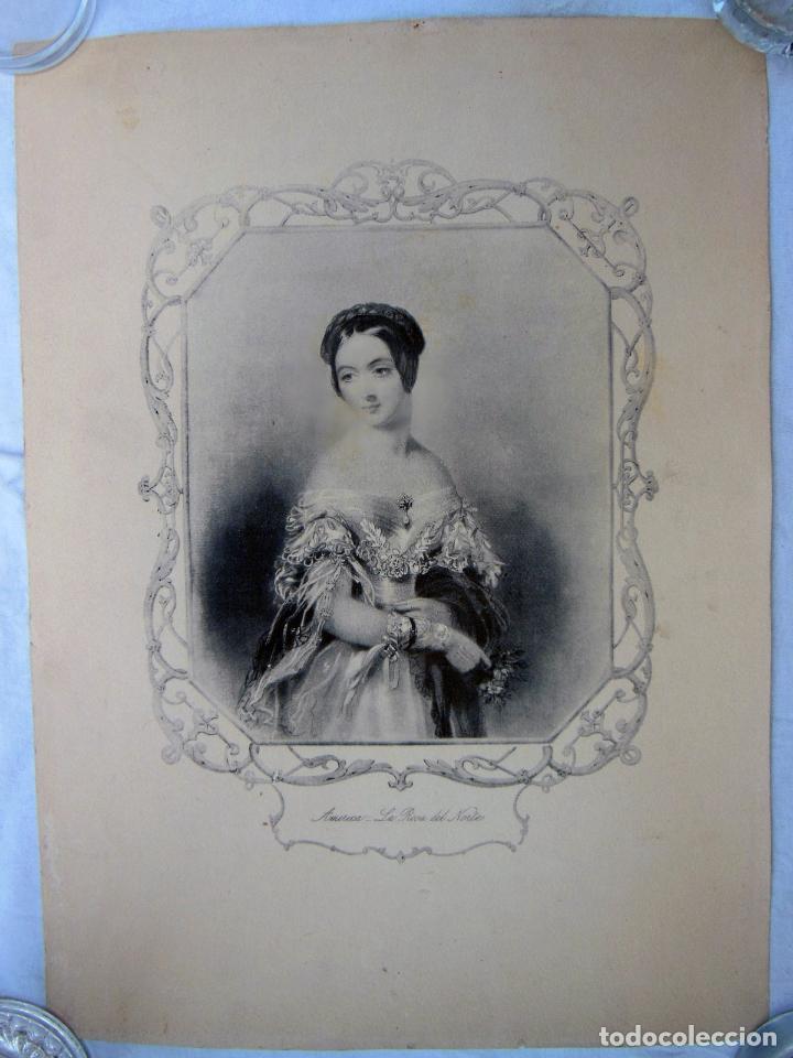 Art: AMERICA . LA ROSA DEL NORTE. 31x42 cm