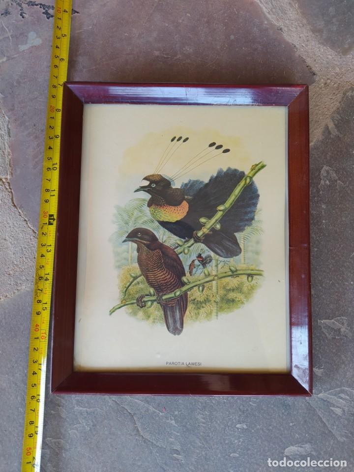 Arte: Cuadro antiguo