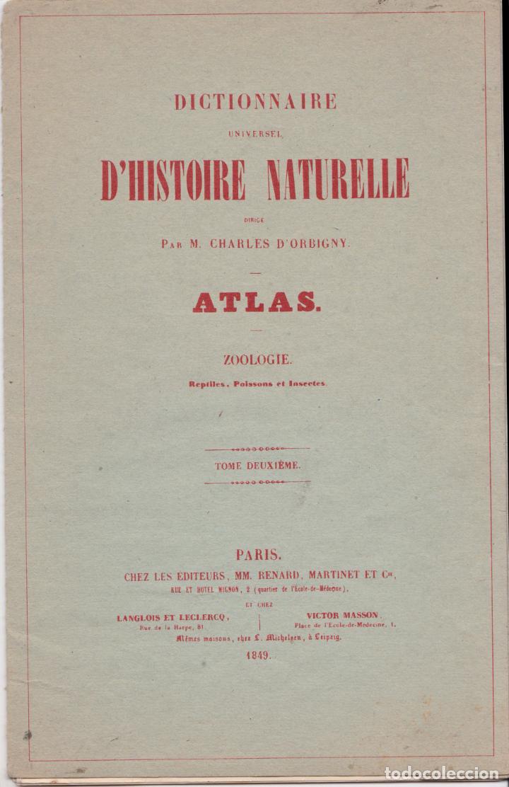 Kunst: 4 LAMINAS DEL DICCIONARIO UNIVERSAL DE HISTORIA NATURAL - POISSONS &ndash; PARIS &ndash; 1849