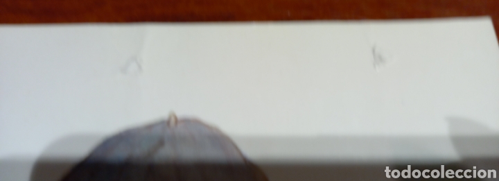 Arte: Lote 4 l&aacute;minas Constanza - Foto 4
