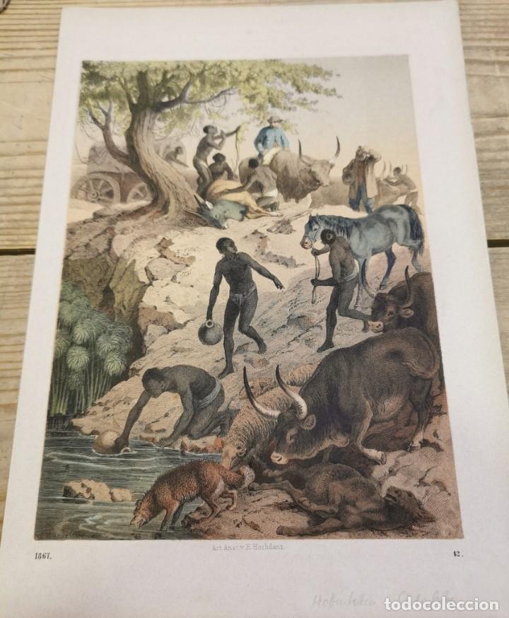 Arte: SIGLO XIX, LAMINA ANTIGUA, SALIDA DE UNA CARAVANA DE ANIMALES NUBIS, 190X260MM