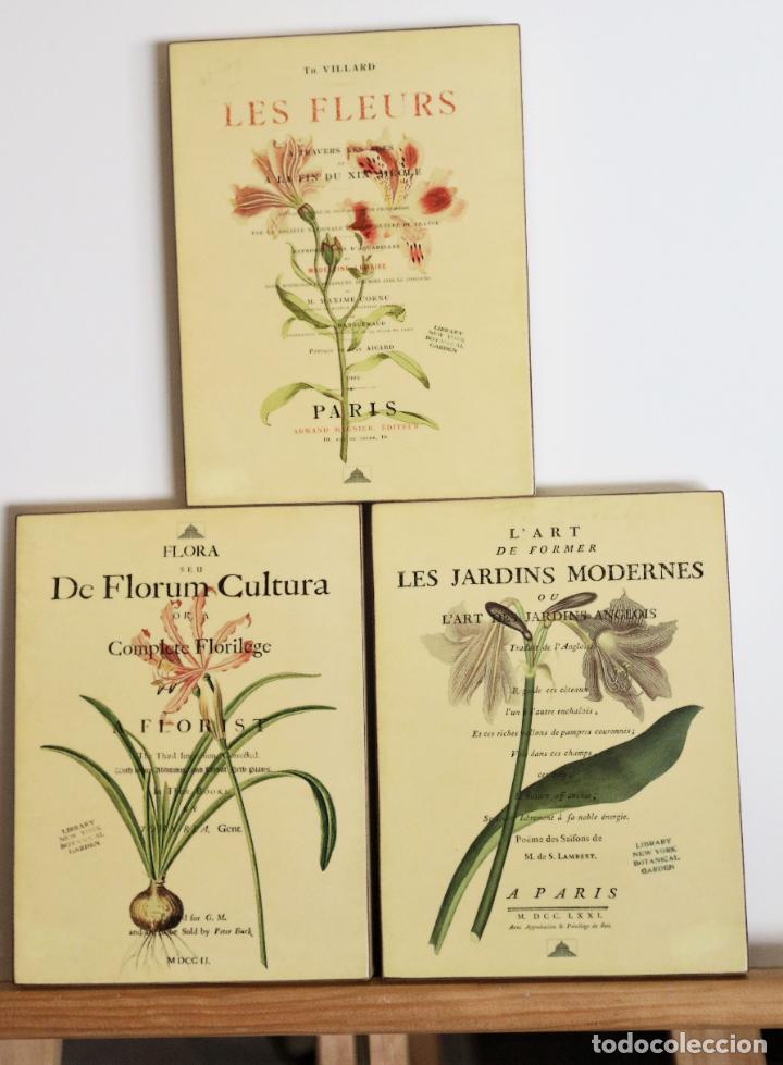 Arte: 3 Bonitas l&aacute;minas sobre madera - Foto 1