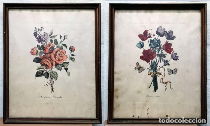 Art: 2 CUADROS ENMARCADOS CON CRISTAL LAMINAS MOTIVO FLORAL - CUADRO-234