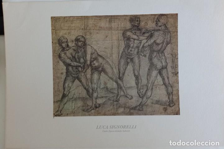 Arte: SIGNORELLI, LUCA - CUATRO FIGURAS.. - Foto 1
