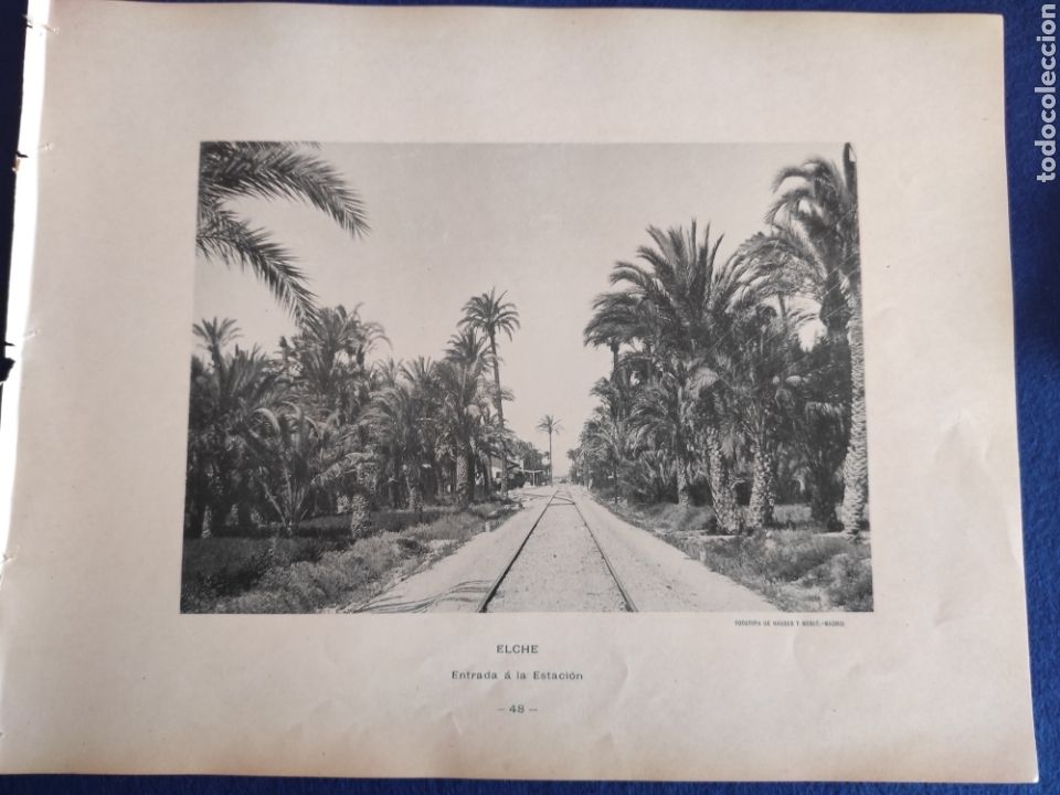 Art: ELCHE. ENTRADA A LA ESTACION. FOTOTIPIA HAUSER Y MENET. 1892
