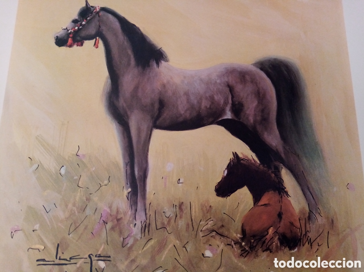 Arte: L&aacute;mina Emilio Aliaga - Foto 5