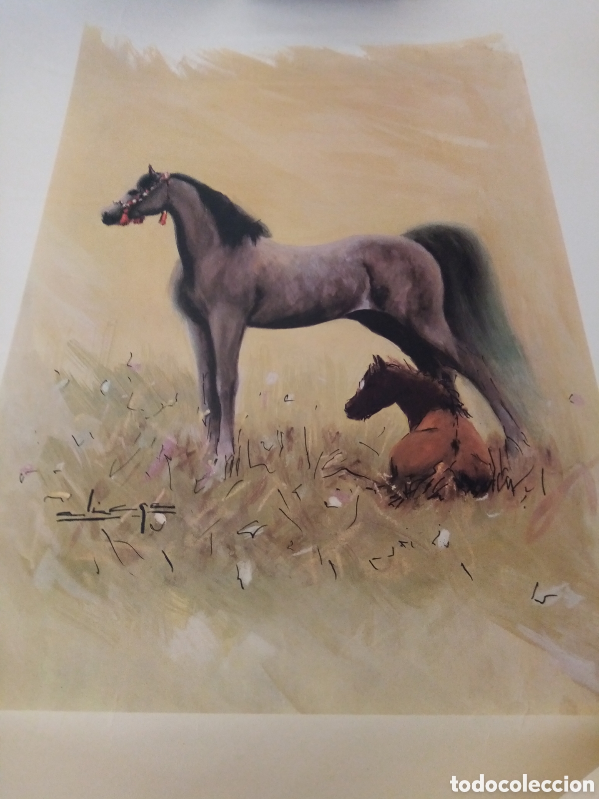 Arte: L&aacute;mina Emilio Aliaga - Foto 1