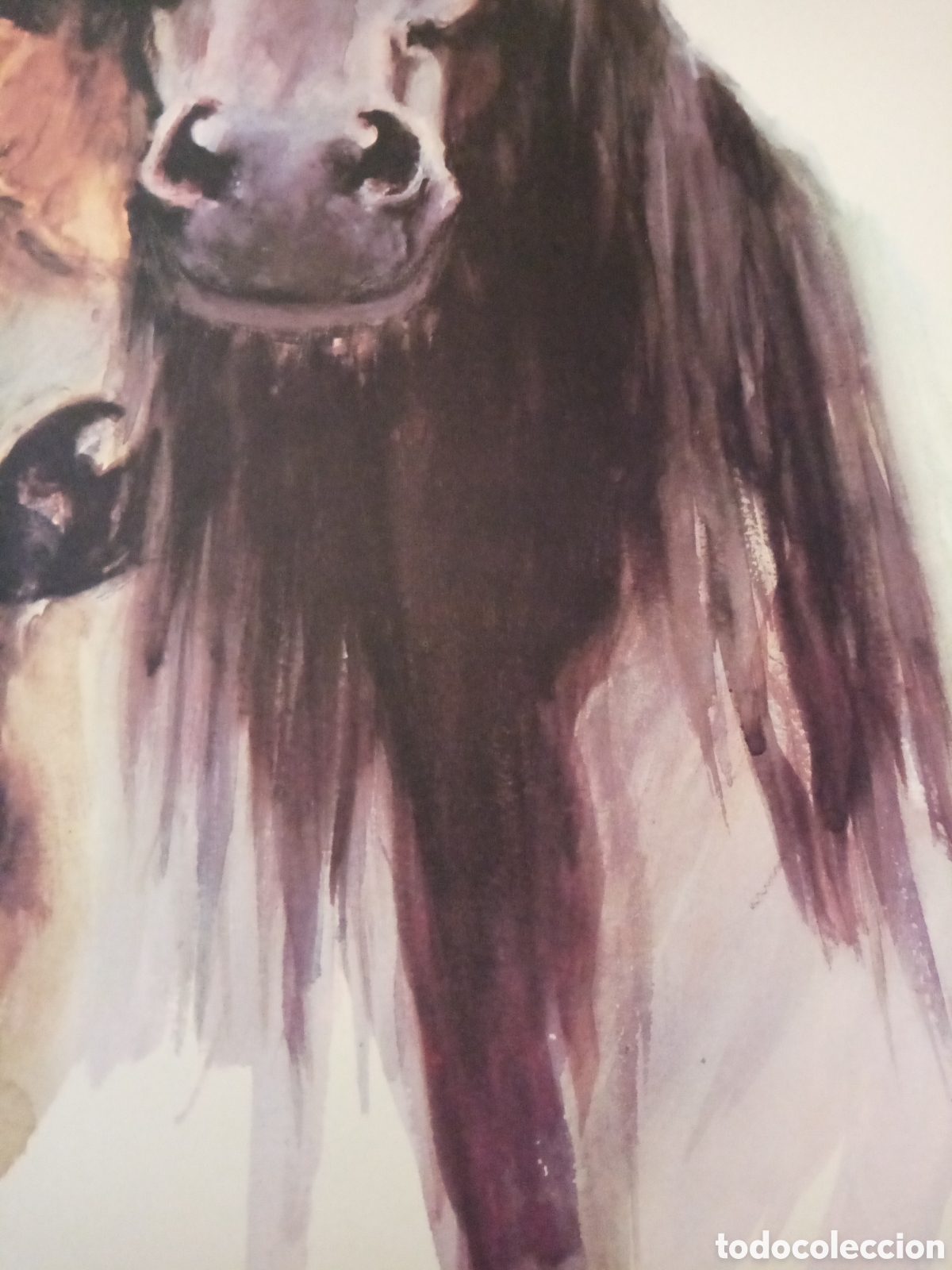 Arte: L&aacute;mina Emilio Aliaga - Foto 6
